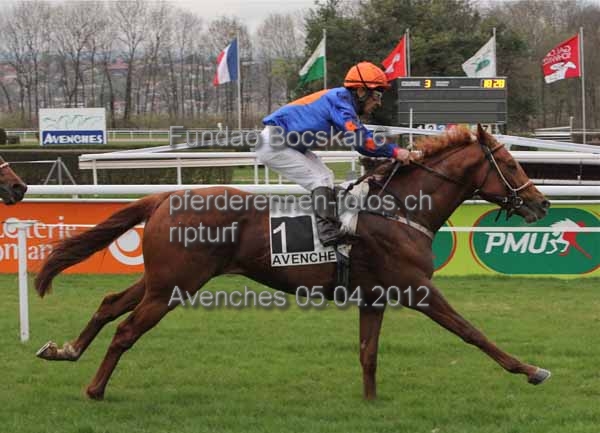 Fundao Bocskai 6 prot